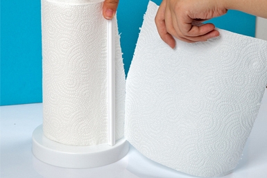Držák na papírové ručníky Solo (s ručníkem), sněhově bílá